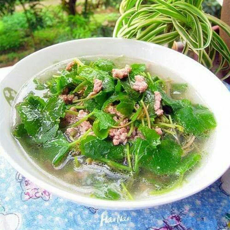 Органические сушеные листья центеллы азиатской/готуколы | Дом и сад