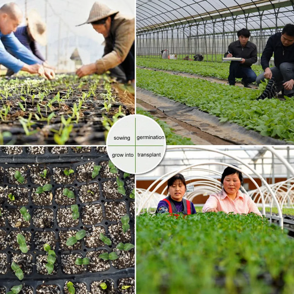 Behogar 4 шт. 50 отверстие Пластик клетки рассада стартер лотки завод цветочные горшки