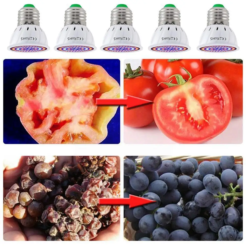 

Led Plant Lamp Cup 48 Beads 60 Beads 80 Beads Succulent Plant Growth Supplement Lamp Wholesale E27 Nursery Cup Light P5R1