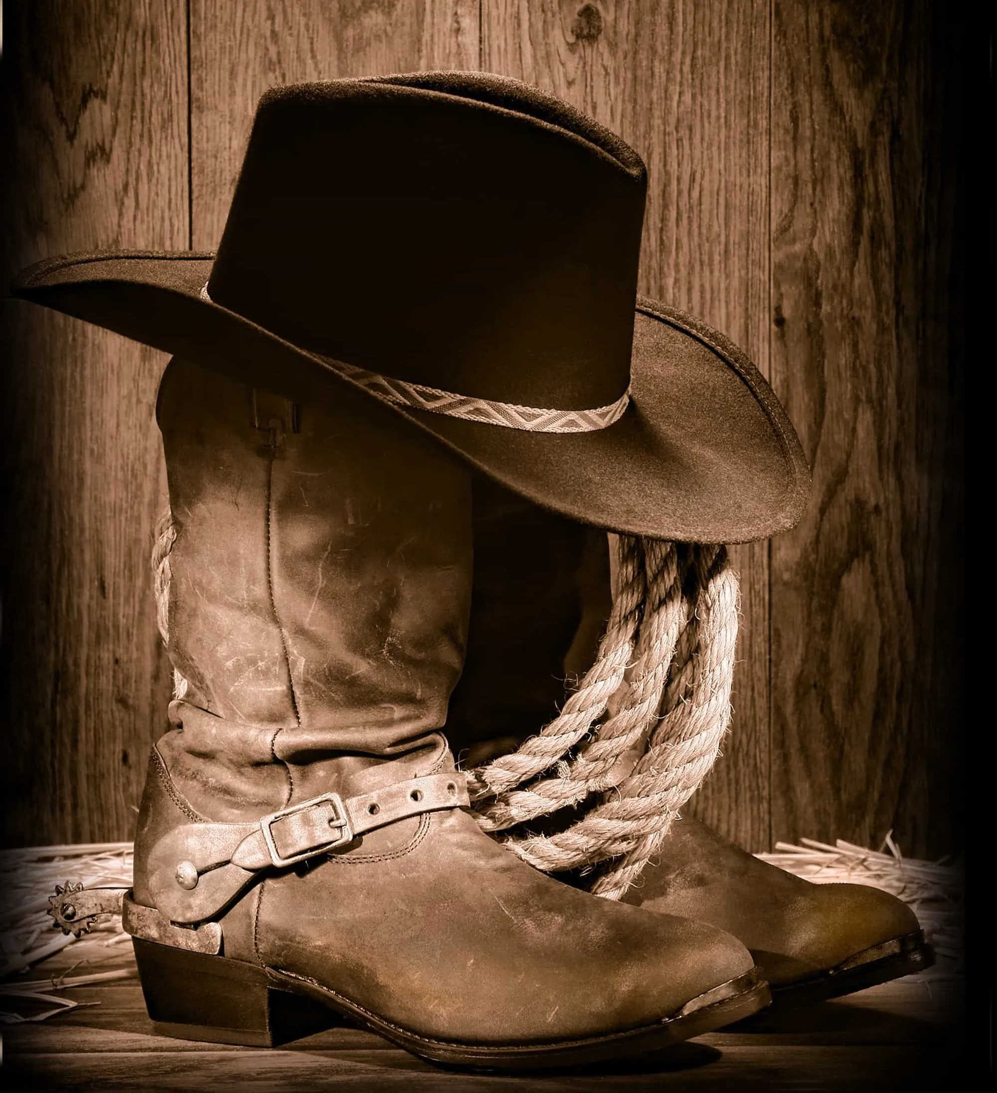 

JMINE Div 5D cowboyhat деревянная полностью Алмазная краска наборы для вышивки крестиком Высококачественная живописная 3D краска алмазами