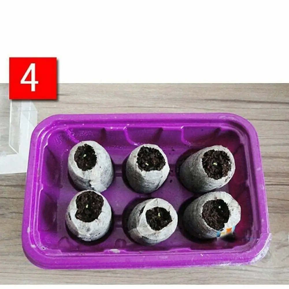 Профессиональные гранулы для торфа 10 шт. 30 мм|Детские горшки| |