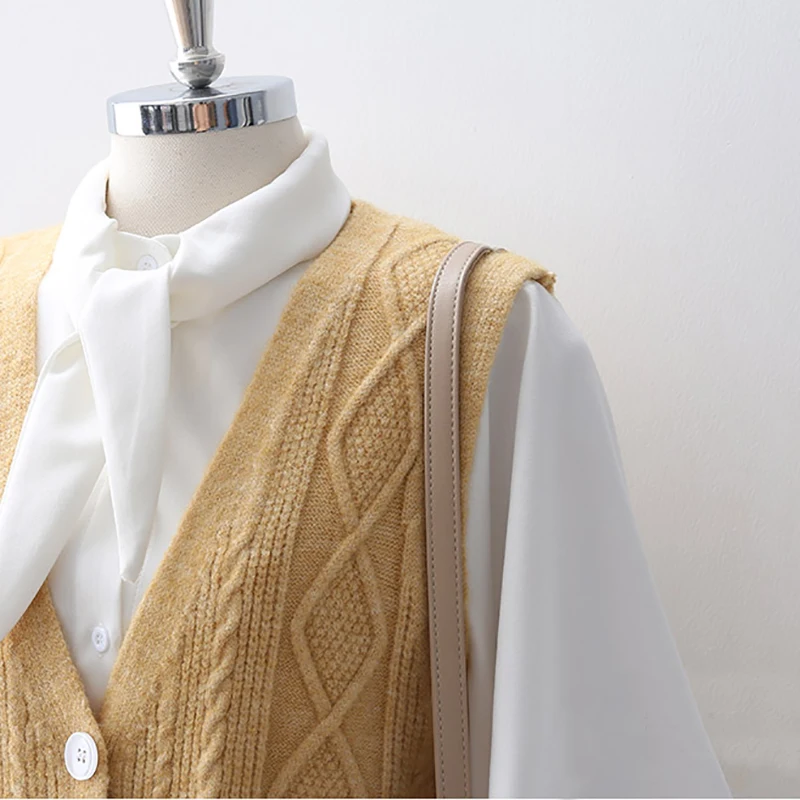 Женский жилет с v-образным вырезом осень 2019 свитер Повседневный свободный без