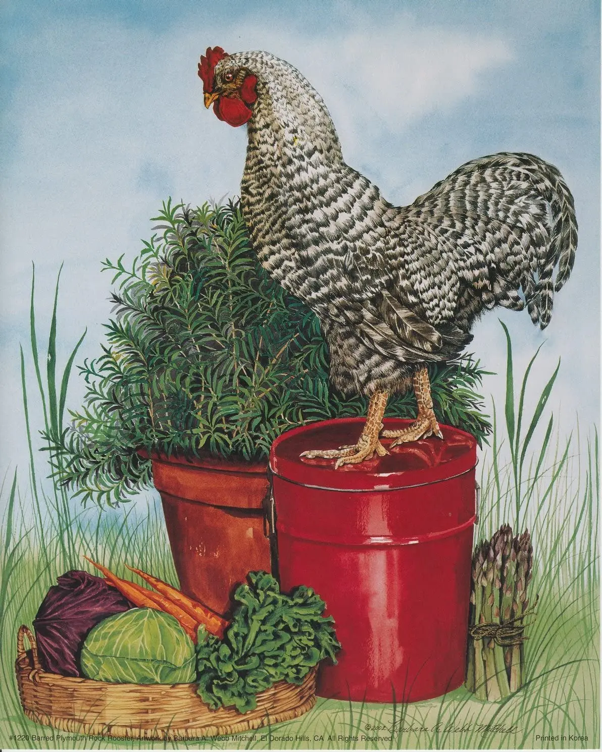 

Barred Plymouth Rock Rooster Chicken Wall Decor Art Print Poster