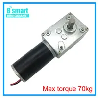 Bringsmart 12 В двойной вал DC Мотор Червячный редуктор высокий крутящий момент 70кг. См 24 вольт двигатель D вал червячный редуктор Реверсивный