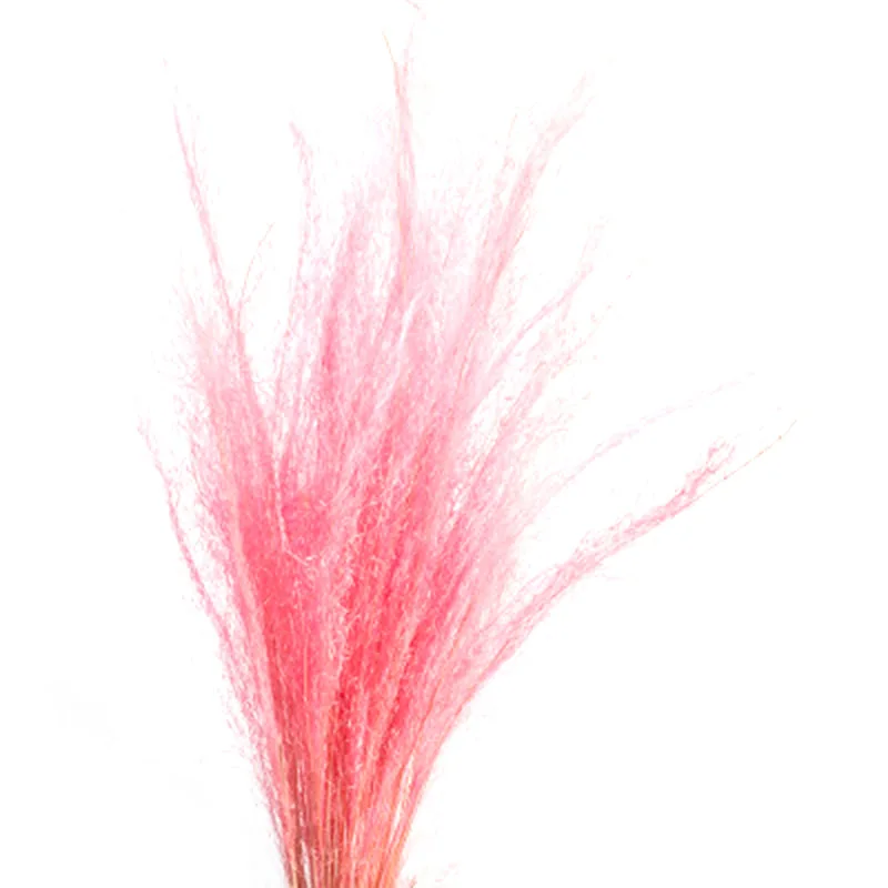 Сухие цветы с 50 стеблями маленькая пампасная трава сухие букет для свадьбы