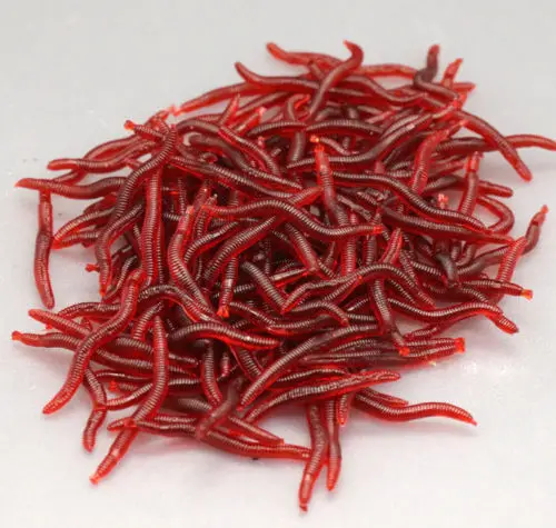

100pcs 4.5cm Bloodworm Soft Fish Bionic Baits PVC Earthworm Fish Baits Lures Red