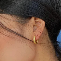 tarnish free waterproof stainless steel jewelry basic matte surface huggie earring jewelry wholesale for women