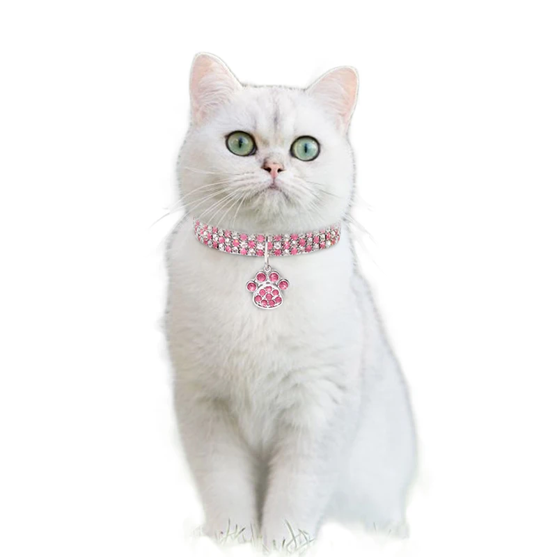

New Home Pet Products Pet Collars Diamond Mixed Color Cat and Dog Products Elastic Cat and Dog Necklace Jewelry J8A5188