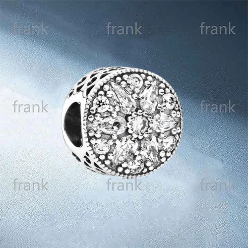 

791762CZ Radiant Bloom Charm