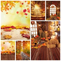 autumn leaves fall forest farm barn baby portrait backdrop scenery photography backdrops photographic background photo studio
