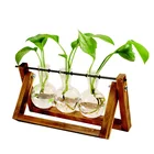 Прозрачная ваза для гидропонных растений, креативная декоративная ваза с деревянной рамкой для украшения из стекла, стола, бонсая, Цветочная ваза