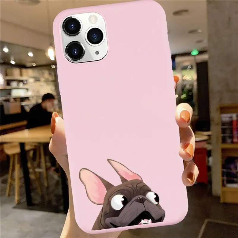 

French Bulldog Pug Dog Cute pet Phone Case Candy Color for iPhone 6 7 8 11 12 s mini pro X XS XR MAX Plus