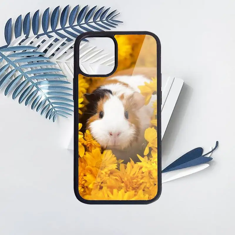 

Guinea Pig cute animal Phone Case PC for iPhone 11 12 pro XS MAX 8 7 6 6S Plus X 5S SE 2020 XR