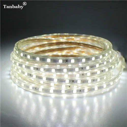 White Color 220V Светодиодные ленты светильник SMD 5050 Открытый Водонепроницаемый светодиодный ленты 60 Светодиодный s/M высокая яркость Крытый украшения новогодние гирлянды со штепсельной вилкой европейского стандарта - Испускаемый цвет: White Color