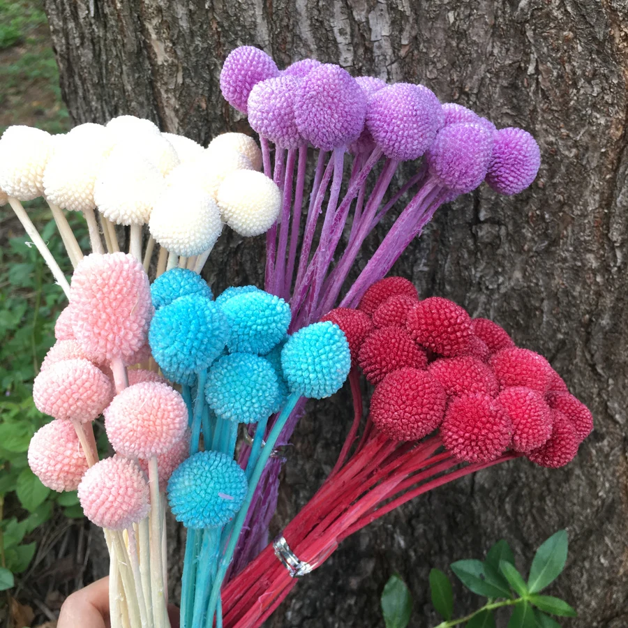 Натуральный декоративный цветок из натуральной черепахи сохраненные цветы для