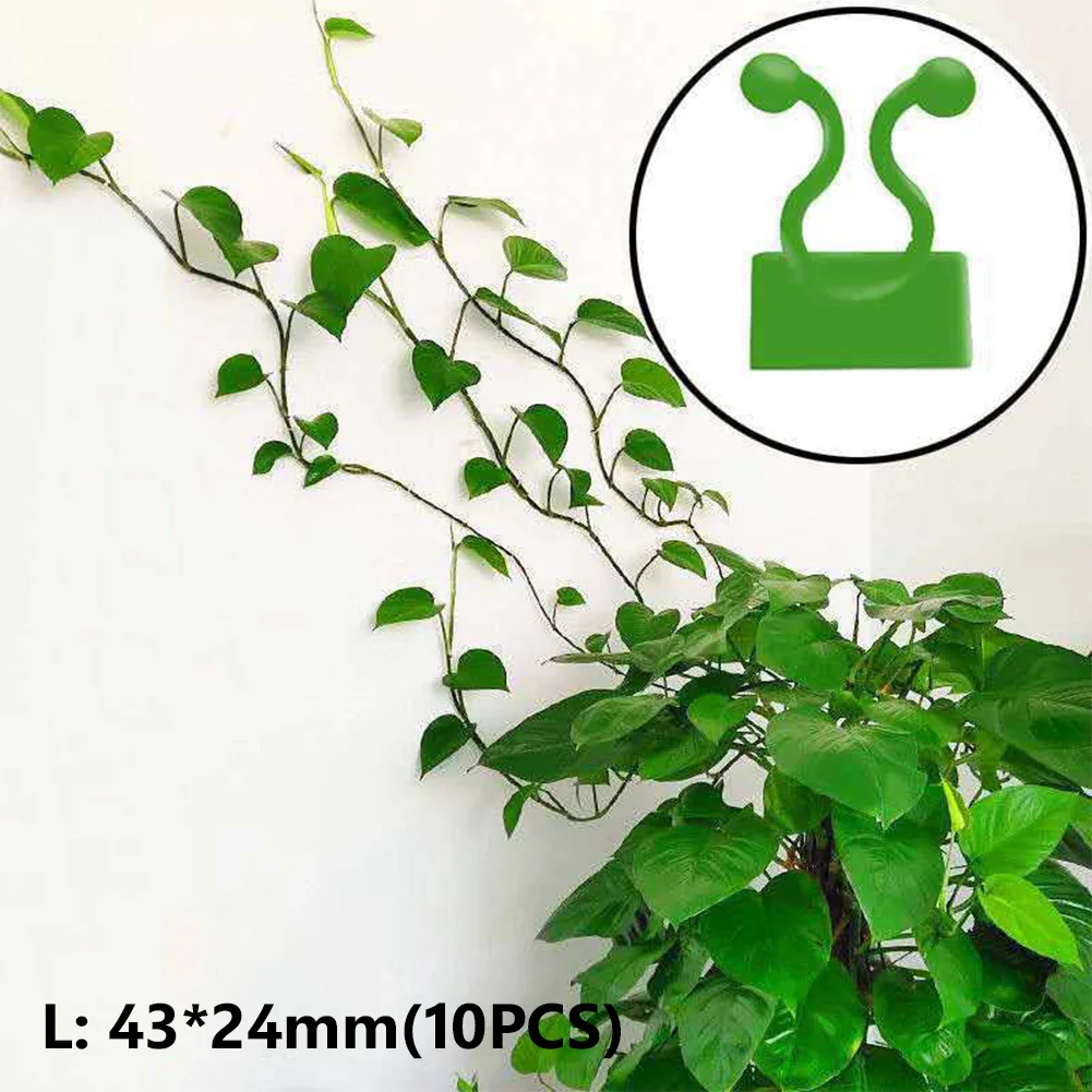 

10pcs Self-Adhesive Fastener Tied fixture Wall Sticky Vine Buckle Support Clip Fixed Buckle Hook Garden Plant Climbing Invisible