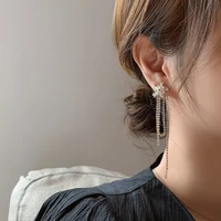 2020 new womens earrings delicate elegant rhinestone flower tassels earrings for women bijoux korean boucle jewelry wholesale