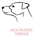 JACKRUSSEL-TERRIER Собака портрет Персонализированные Имя ожерелье Собака ювелирные изделия любимое животное подарок для мамы собаки породы ожерелье PN305 - Окраска металла: JACKRUSSEL-TERRIER