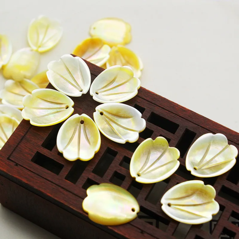 5 шт./пакет натуральная перламутровая Бегония Хризантема ракушка цветок