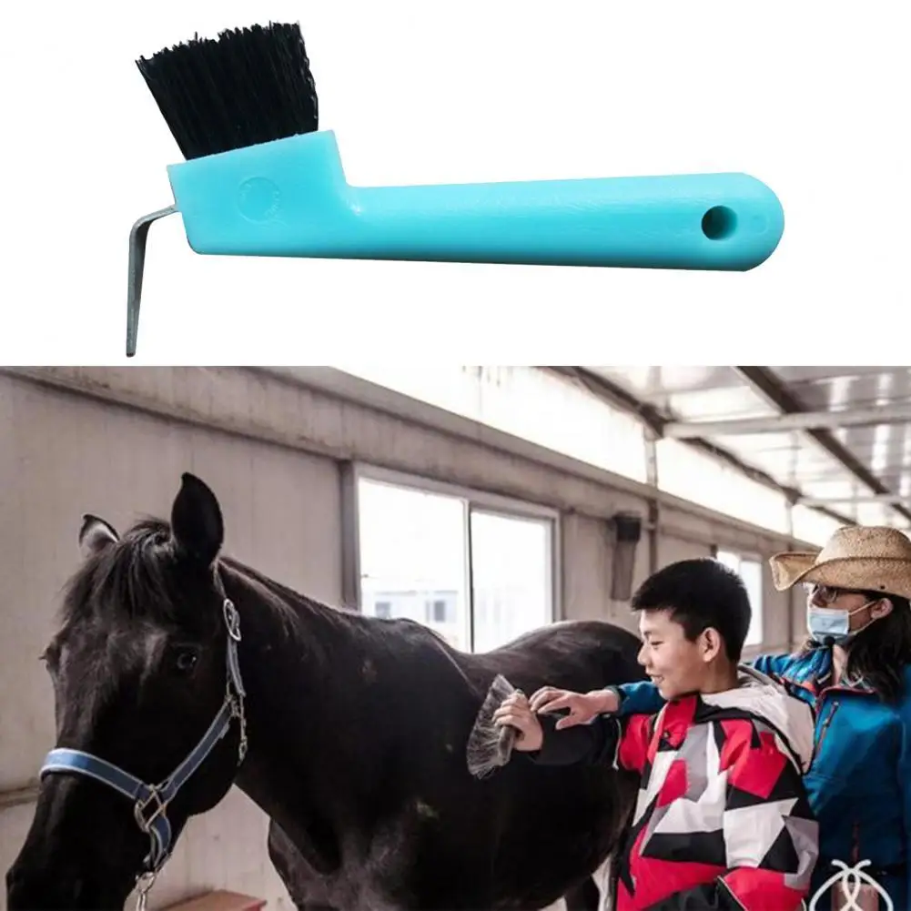 

Plastic Premium Horseshoe Care Tool Scrub Eco-friendly Horse Hoof Tool Anti-break for Outdoor
