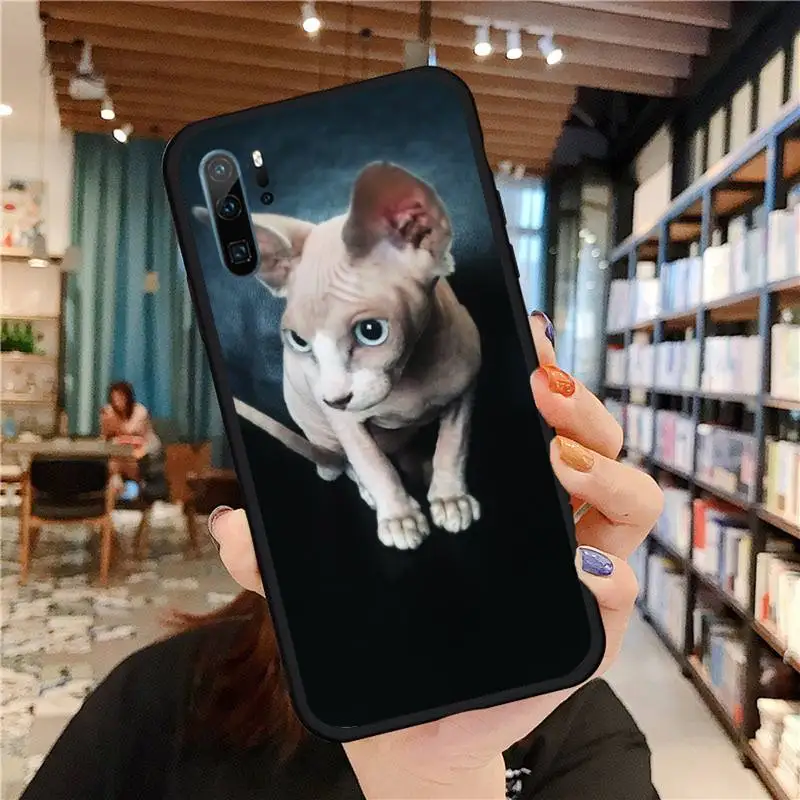 

Sphynx Cat funny cool Phone Case For Huawei honor Mate P 9 10 20 30 40 Pro 10i 7 8 a x Lite nova 5t Soft Silicone Shell Cover