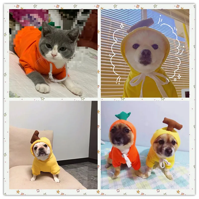 Теплые толстовки с капюшоном для собак Толстовка домашних животных котенок