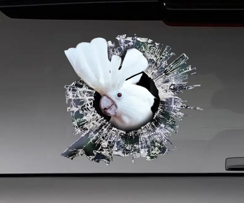 

2021 Umbrella cockatoo window sticker, car sticker, parrot car decal, funny sticker