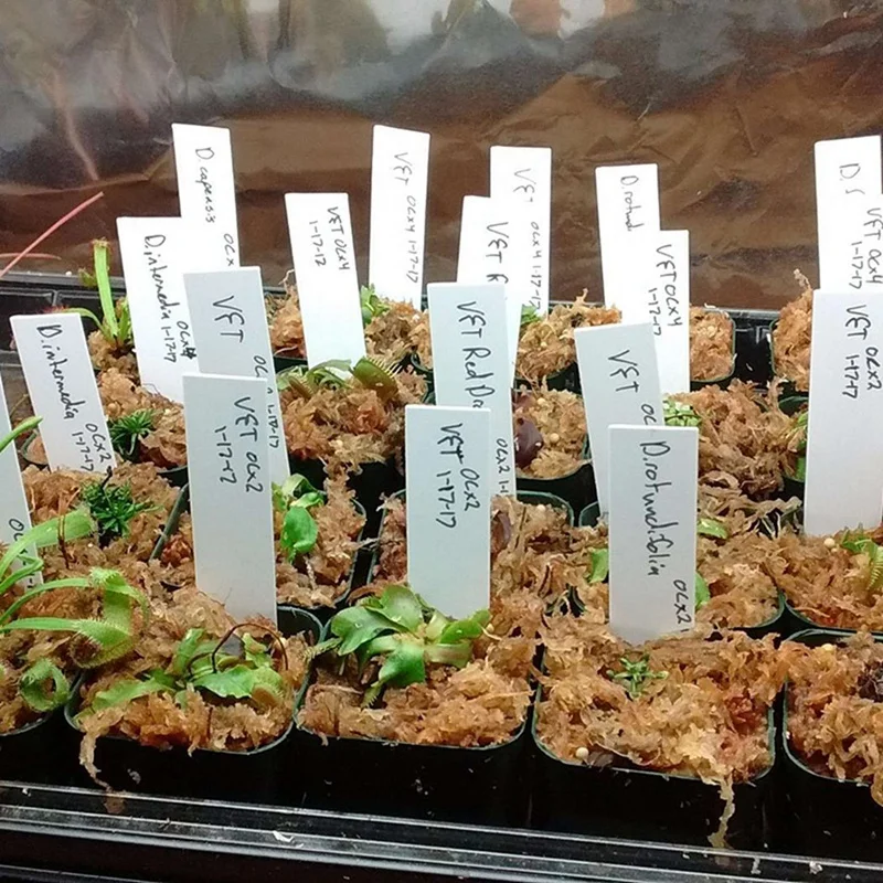 

300 Pcs 4 Inch Plastic Plant Tags Garden Nursery Labels & 12 Pack 5.1Inch White Plastic Flower Plant Pots