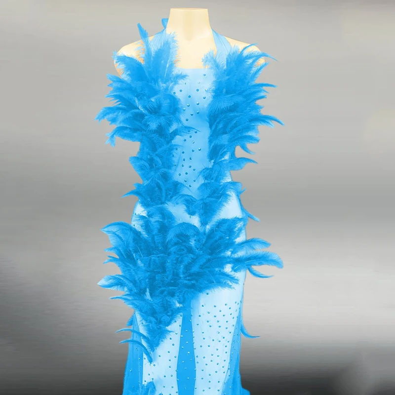 Длинное платье на день рождения Прозрачное стразы с перьями Бандажное певец