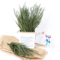 10pcs natural dried plant greens tree pine branches cheap goods centros de mesa table living rome home decoration accessories
