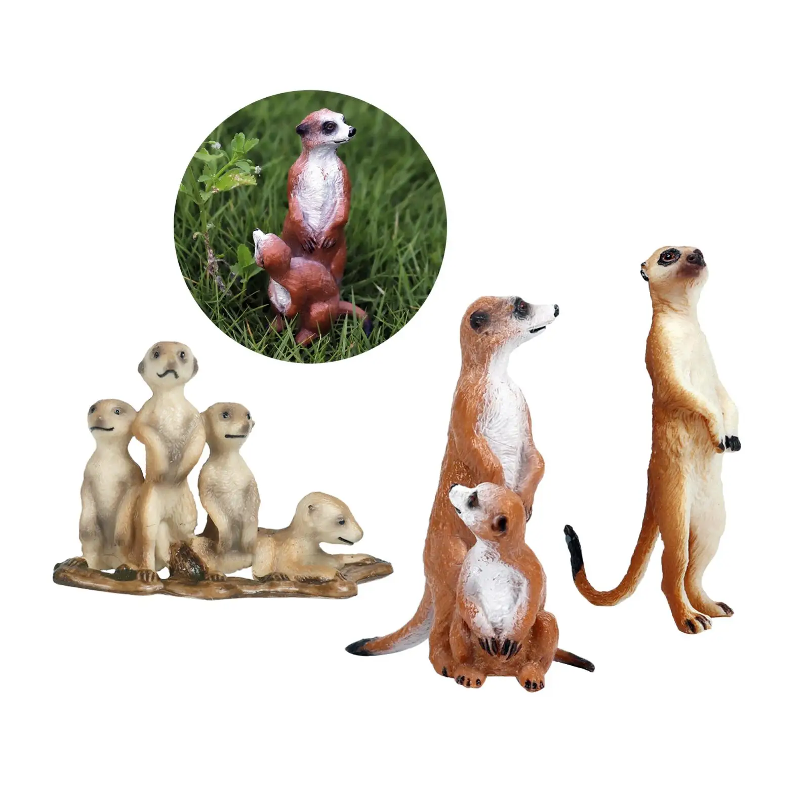 

3Pack Simulation Small Standing Meerkat Action Figurine Models Desktop Decor