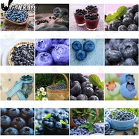 fresh fruit blueberry diamond painting 5d diy wall art food square diamond inlaid home room decoration accessories