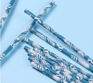 Одноразовая бумажная соломинка Коко кактус иллюстрация для питья кухонный