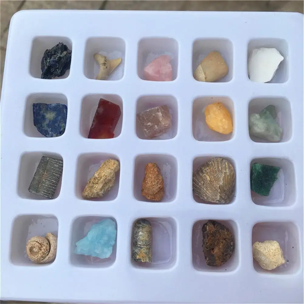 20 шт./компл. окаменелости руды набор орнамент натуральный камень ремесло