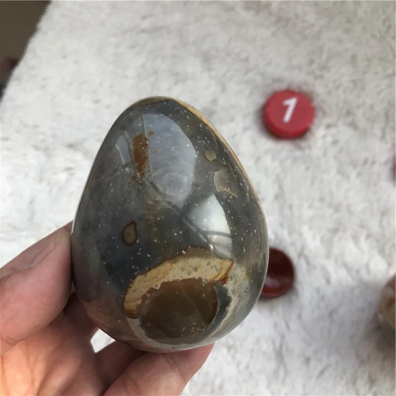 Натуральный камень морская ладонь Исцеляющие кристаллы яйцо Декоративные