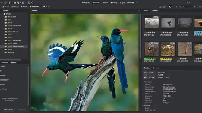 

Bridge CC 2021 for Windows