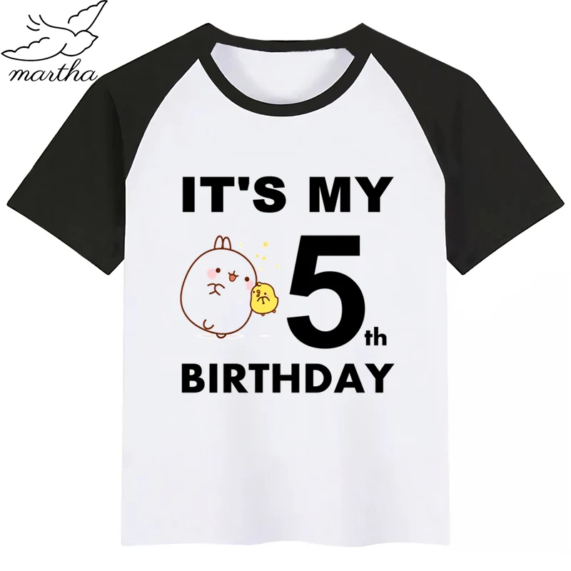 Футболка для мальчиков с номером на день рождения детская одежда милым кроликом