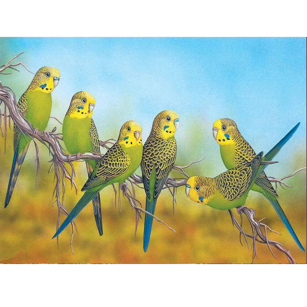 Девятисот пятидесяти шести попугаев. Круглая картина попугай. Мозаика Aqua Birds.