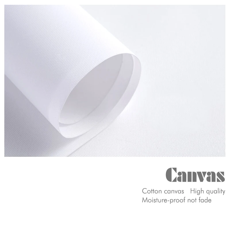 

Nordic Morden black and white feather Posters and Prints Canvas Painting wall Art wall pictures for living room contracted style