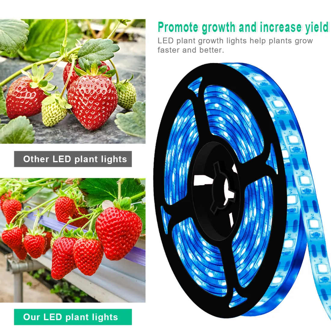 

LED Grow Light Full Spectrum USB LED Growth Light Strip 0.5m 1m 2m 3m Plant Lamp DC 5V Phyto Seed Flower Greenhouse Lamp Tape
