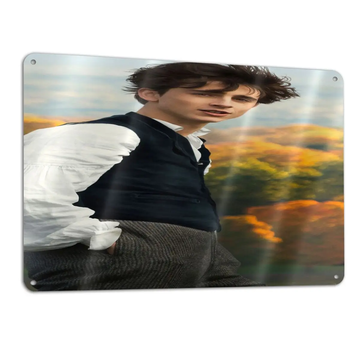 

Timothee Chalamet 3028 Metal Plaque Sign Bar Home Wall Decor Signs Wall Decoration Decor For Kitchen Poster In The Kitchen