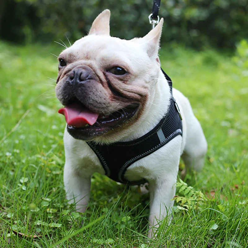 Светоотражающая шлейка для собак нагрудный ремень регулируемый поводок