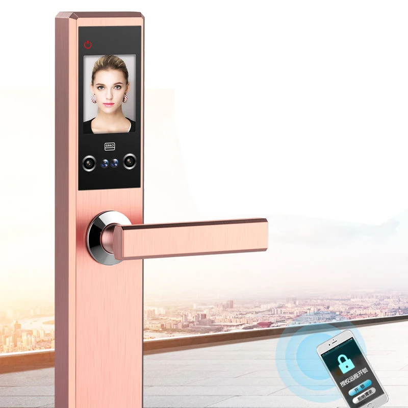 Facial Recognition Intelligent Lock Touch Screen Smart Security Locks Palmprint Finger Password Face IC Card Keyless Door Lock