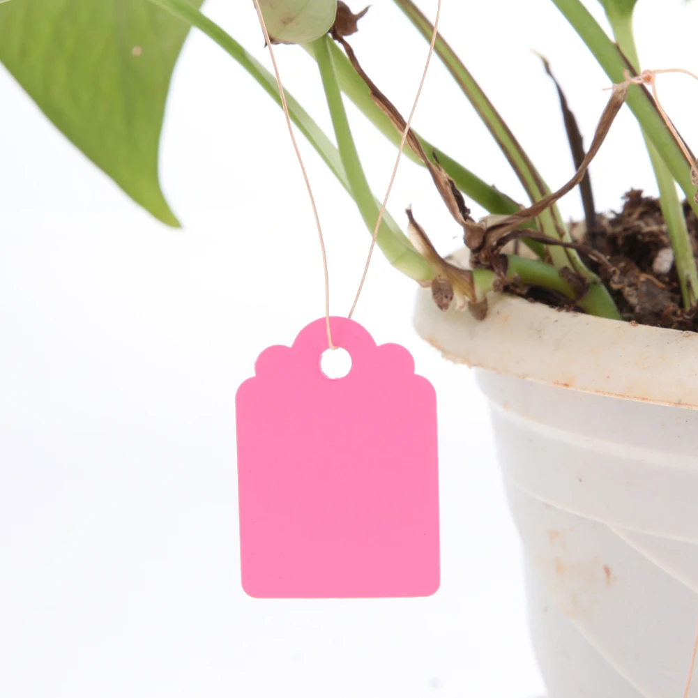 

100Pcs T-type Plastic Nursery Garden Plant Label Flower Tag Mark