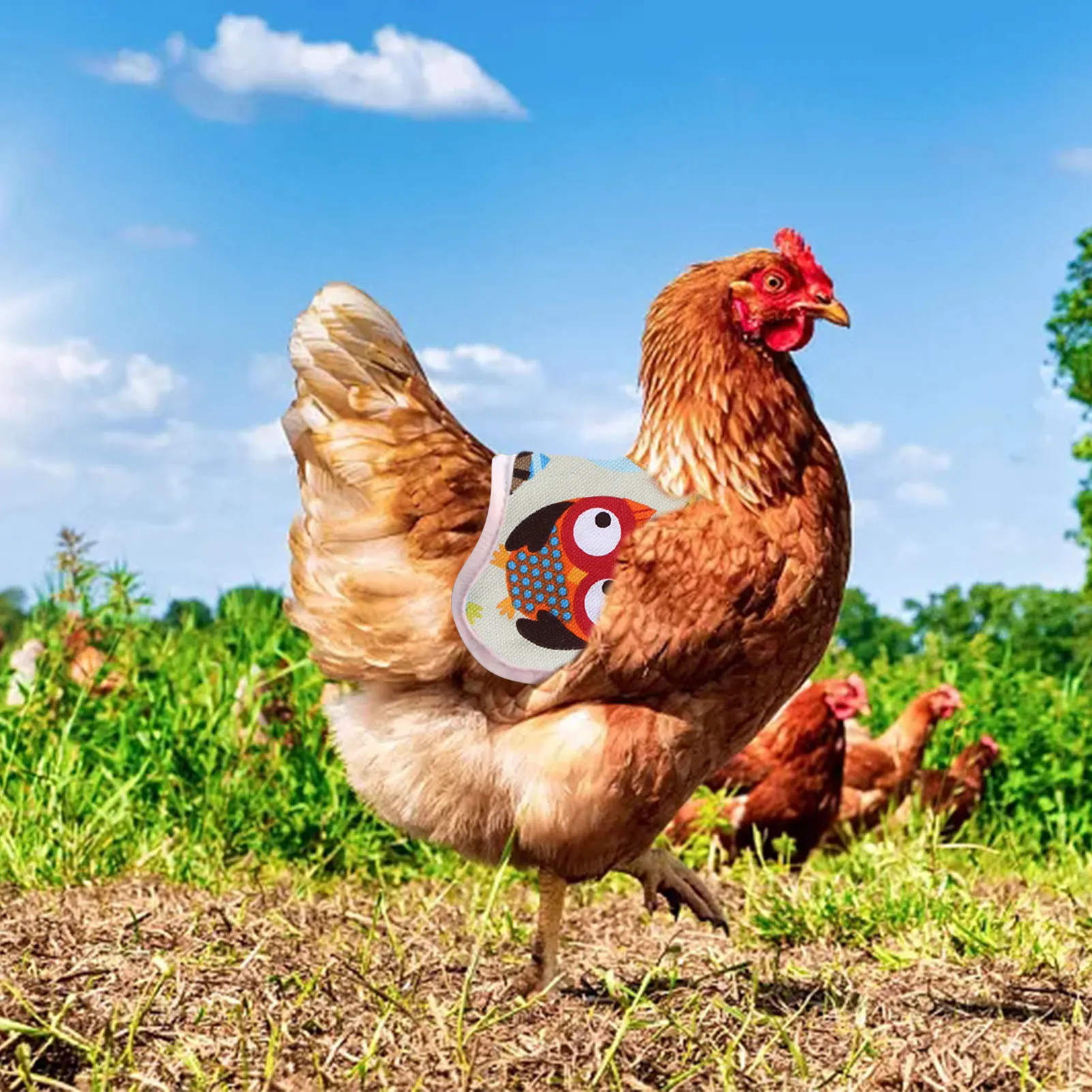 Регулируемый Фартук для домашних животных одежда курицы птицы седла перо
