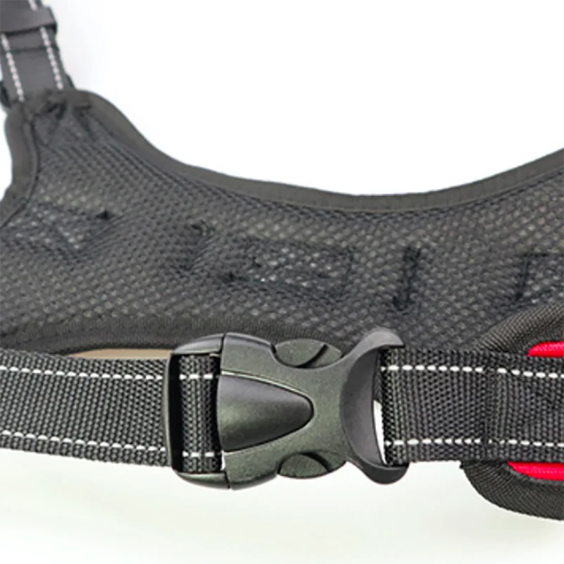 Собачья шлейка жилетка нагрудный ремень маленький Тедди золотистый ретривер для