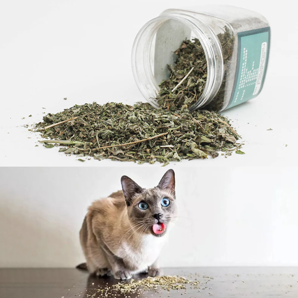 250ml Healthy Catnip Catmint Help Digestion Cats Kitten Menthol Flavor Pet Snack | Дом и сад