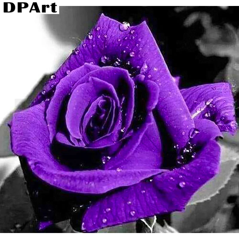 Алмазная живопись полностью квадратная/круглая вышивка цветок роза фиолетовый 5D