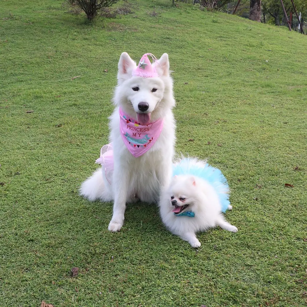 1 шт. модная бандана для домашних животных с буквенным принтом нагрудник ошейник