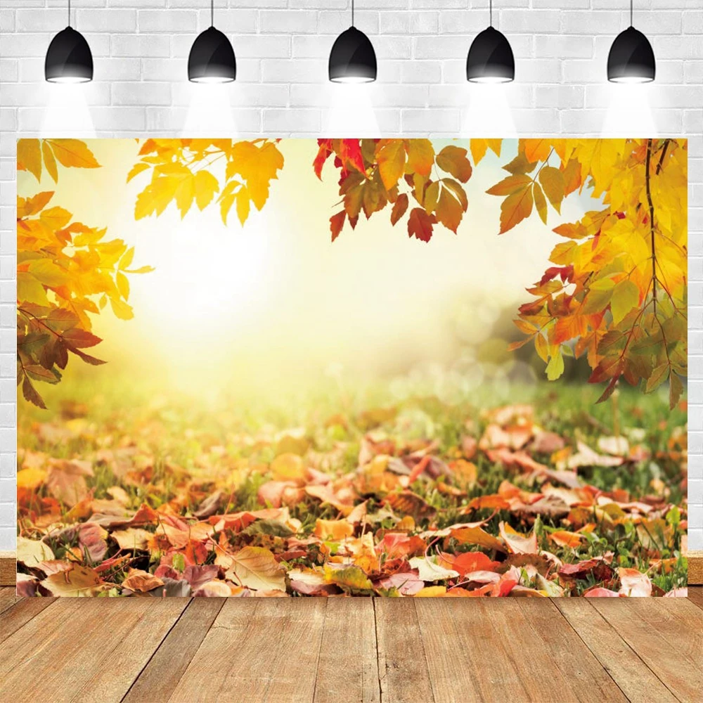 

Yeele Forest Fallen Leaves Autumn Scene Backdrop Baby Portrait Photography Photographic Background For Photo Studio Photophone